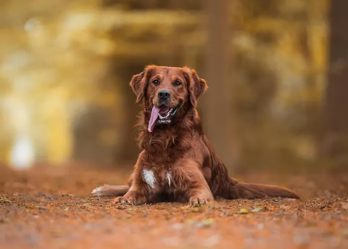 Σπίτι διακοπών Diemelblick Acht - Fuer 6 Personen Mit Sauna, Garten Und Dachterrasse - Waeschepakete Inklusive! *